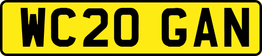 WC20GAN