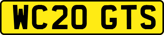 WC20GTS