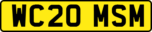 WC20MSM