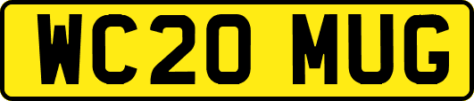 WC20MUG