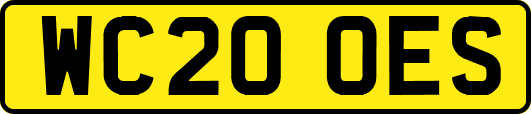 WC20OES