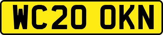 WC20OKN