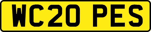 WC20PES