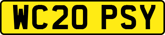 WC20PSY