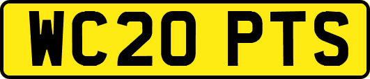 WC20PTS