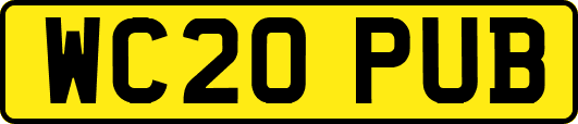 WC20PUB