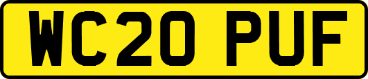 WC20PUF