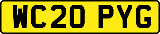 WC20PYG