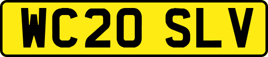 WC20SLV