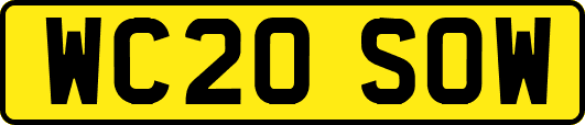 WC20SOW