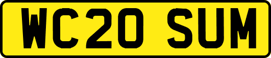 WC20SUM