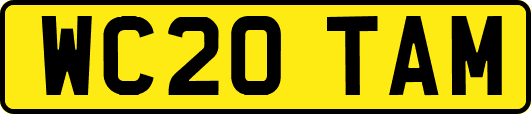 WC20TAM