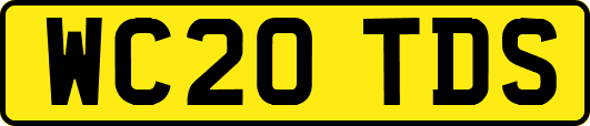 WC20TDS