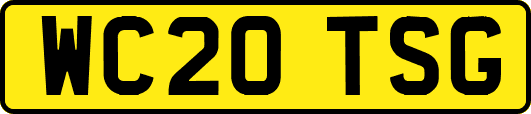 WC20TSG