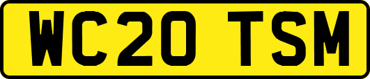 WC20TSM