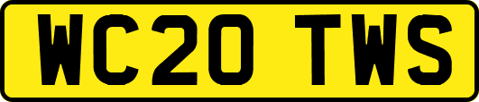 WC20TWS