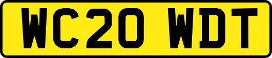WC20WDT