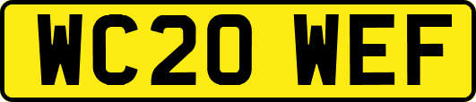 WC20WEF