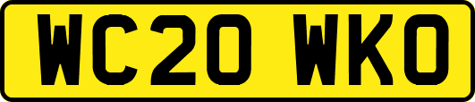WC20WKO