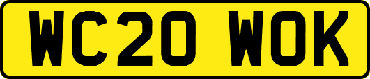 WC20WOK