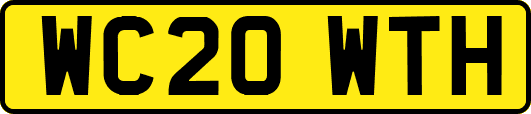 WC20WTH