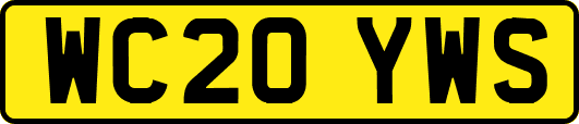 WC20YWS