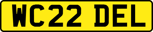 WC22DEL