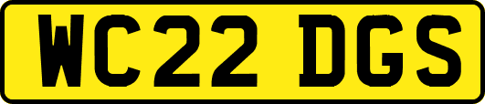 WC22DGS