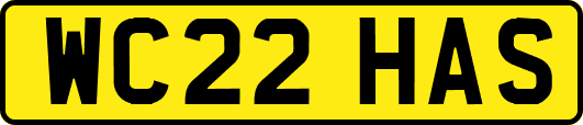 WC22HAS