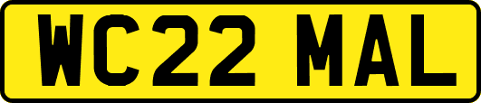 WC22MAL