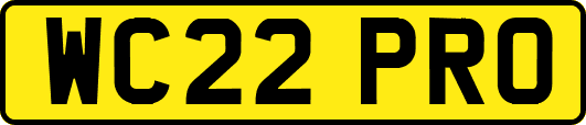 WC22PRO