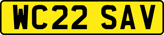 WC22SAV