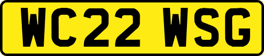 WC22WSG