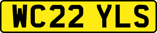 WC22YLS