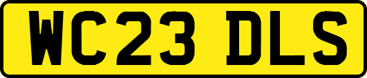 WC23DLS