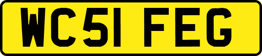 WC51FEG