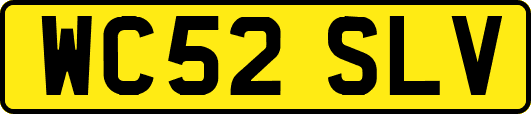 WC52SLV