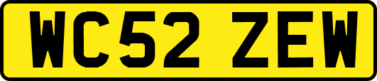 WC52ZEW