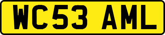 WC53AML