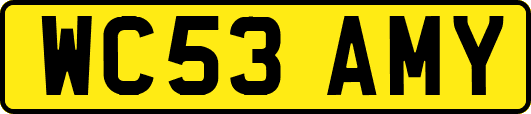 WC53AMY