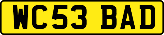 WC53BAD