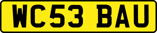 WC53BAU