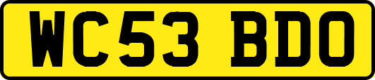 WC53BDO