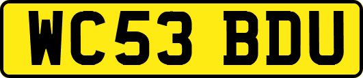 WC53BDU