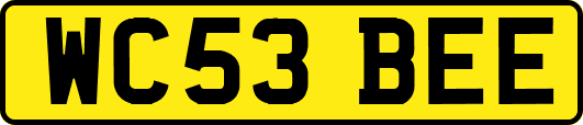 WC53BEE