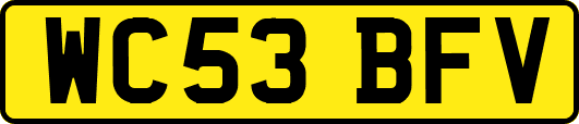 WC53BFV