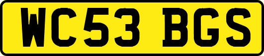 WC53BGS