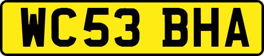 WC53BHA