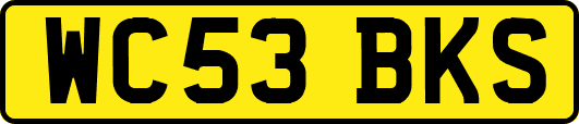 WC53BKS