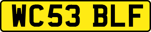 WC53BLF